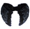 Large Black Angel Wings